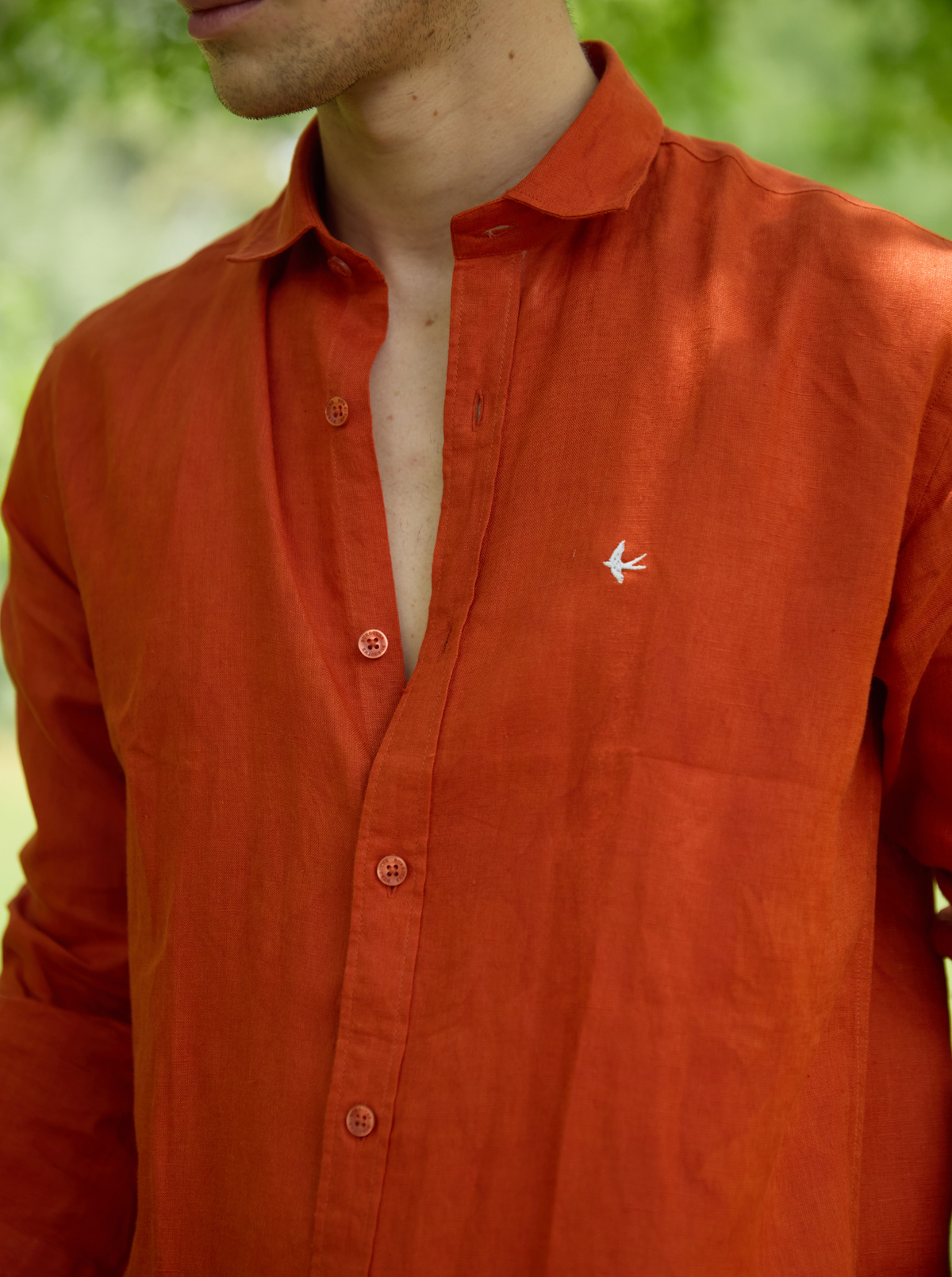 Pumpkin Orange
