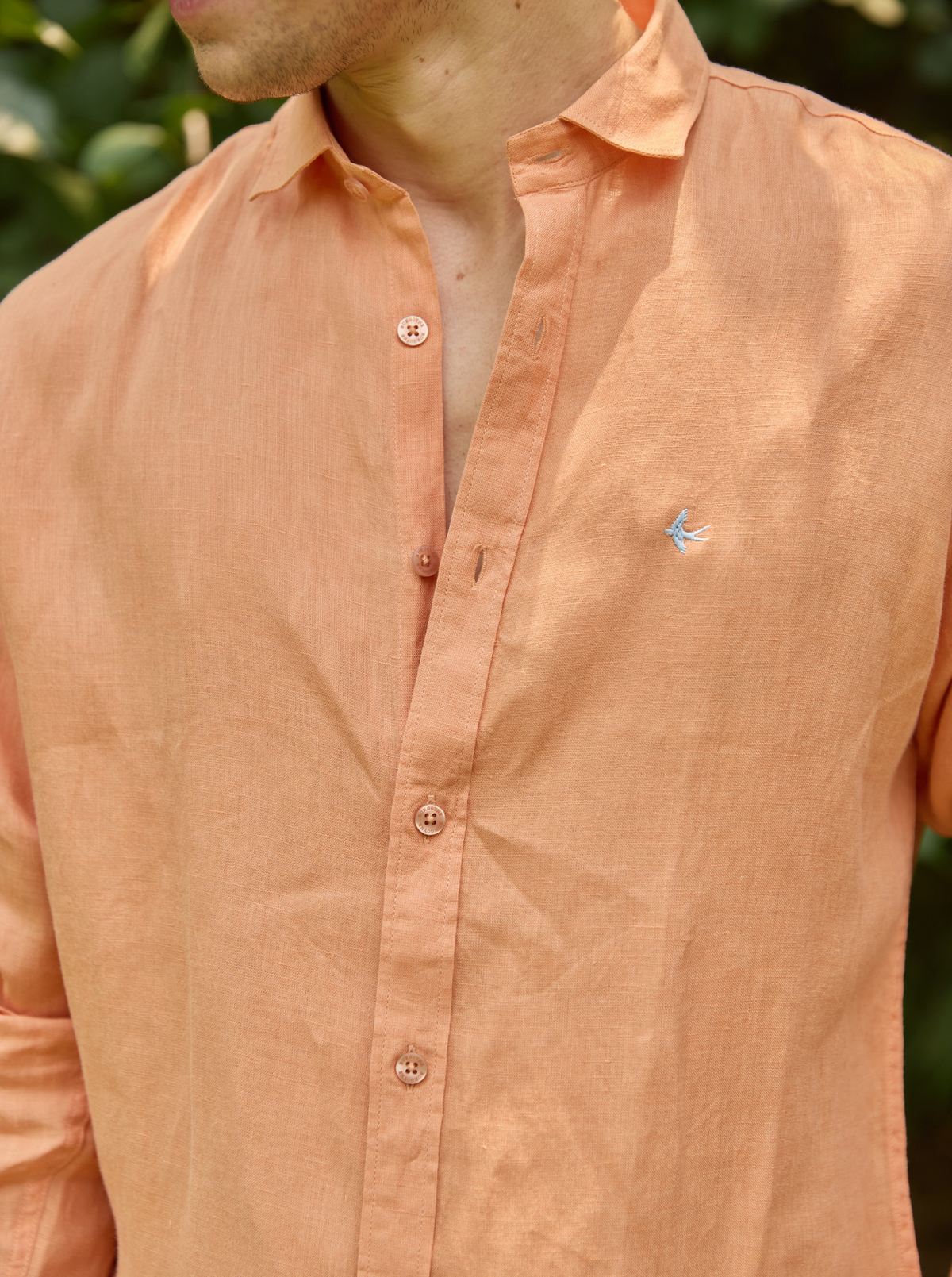 Tawny Orange