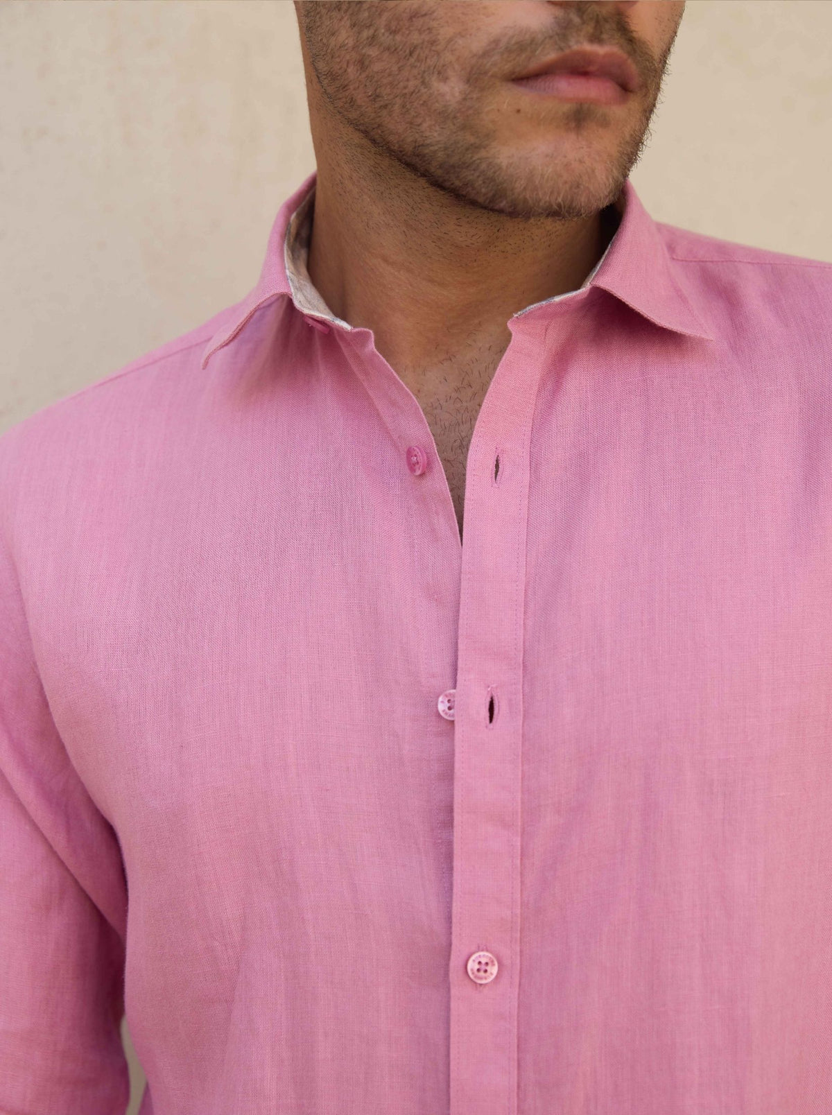 Cashmere Rose
