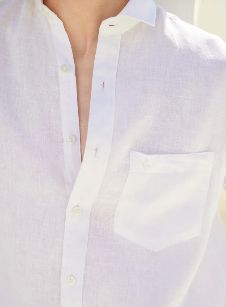 Arctic White